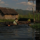 1151-inle
