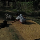 2038mrauk-u-img_0532