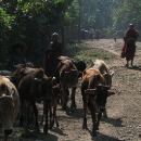 2040mrauk-u-img_0537