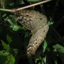 2048mrauk-u-img_0584